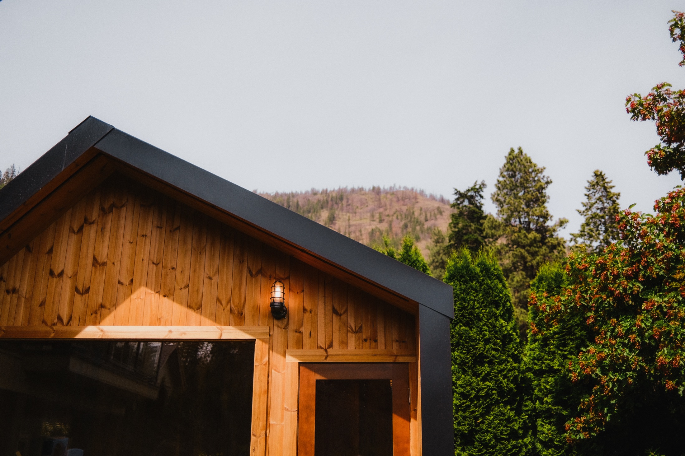 Revel Built's backyard sauna photo 4