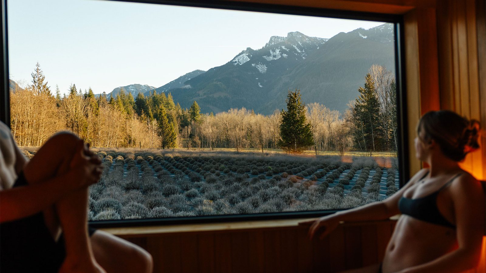 Sauna and Cold Plunge Overlooking Lavender Fields photo 5